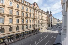 Pārdomāts 1 guļamistabas dzīvoklis