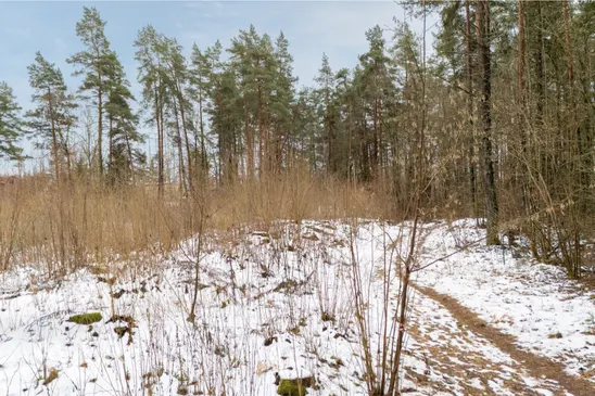 Ogres nov., Ikšķile, Remeiķu Čiekuri