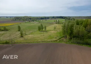 Object image 3