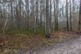Jūrmala, Vaivari, Medņu 46