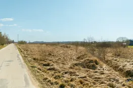 Ropažu nov., Ropaži, Braslas