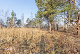 Tukuma nov., Lapmežciema pagasts, Mīļkalniņi