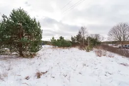 Talsu nov., Mērsrags, Alfas