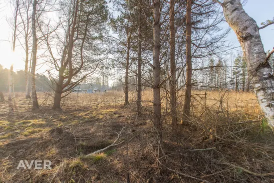 Tukuma nov., Lapmežciema pagasts, Mīļkalniņi