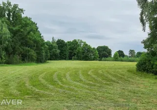 Object image 4