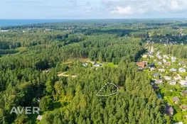 Limbažu nov., Skulte, Koku iela 10