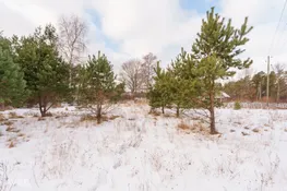 Talsu nov., Mērsrags, Alfas