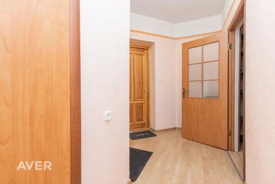Plašs vienistabas dzīvoklis renovētā ēkā