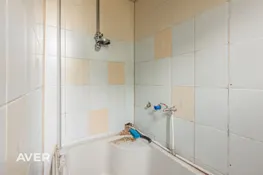 Pirvātmāja ar plašu zemes gabalu