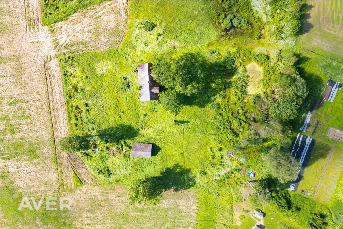 Ocject image
