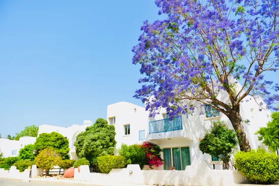 Dzīvoklis Kato Paphos