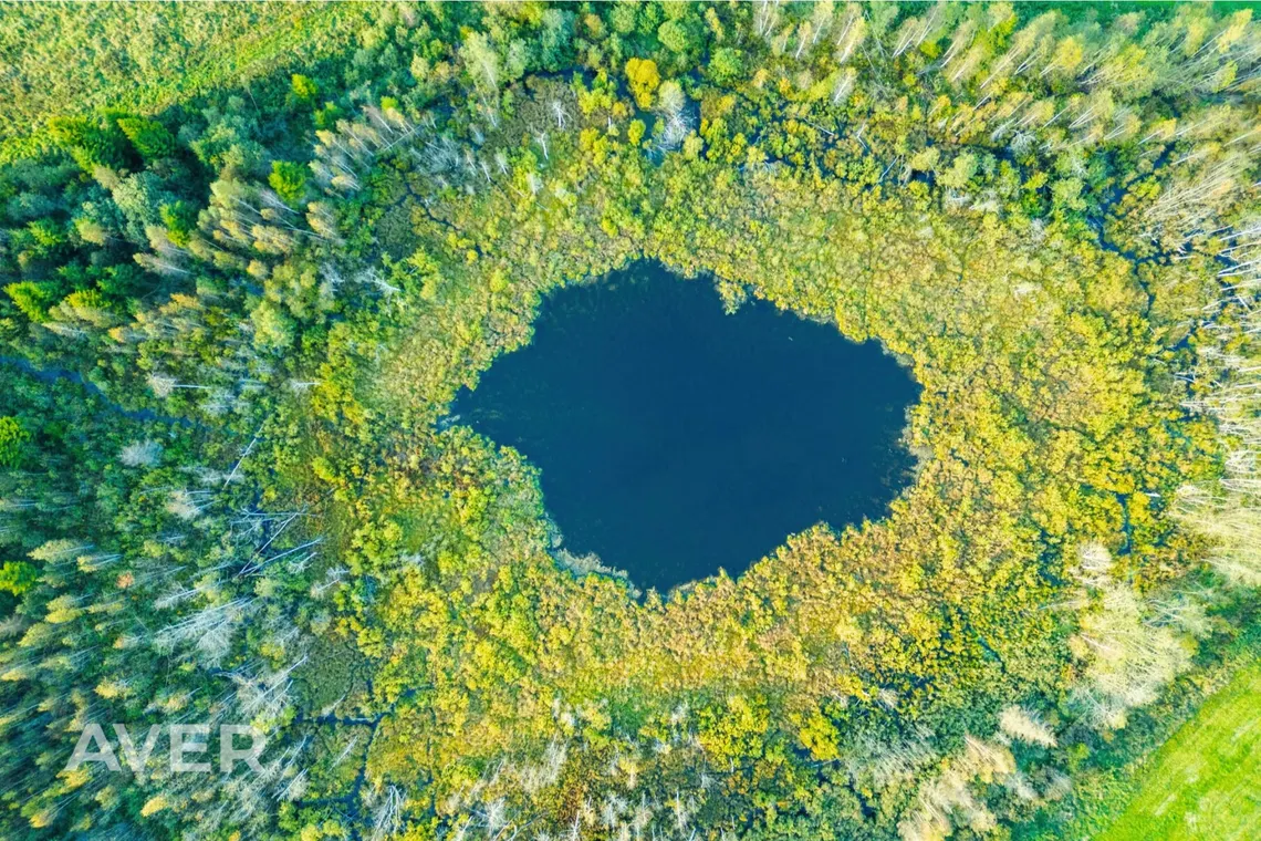 Ocject image