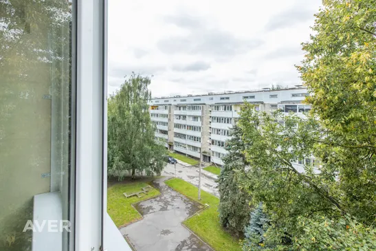 Meiju ceļš 50-10, Jelgava
