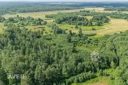 Bauskas nov., Vecumnieku pagasts
