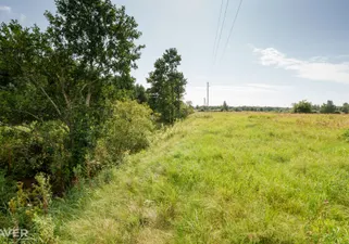 Object image 3