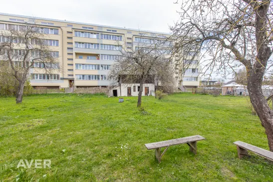 Priežu iela 6, Jelgava
