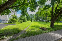 Jūrmala, Kauguri