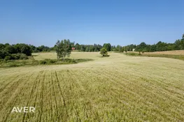 Lauku viensēta ar 24 ha mežu un 14 ha lauksaimniecības zemi
