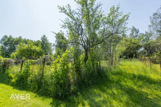 Rīga, Imanta, Pureņu 6