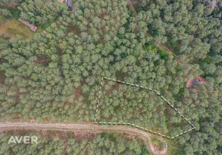 Object image 1