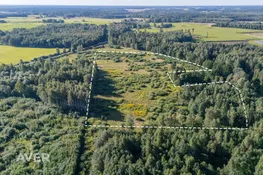 Bauskas nov., Iecava, Ošenieki