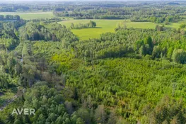 Siguldas nov., Mālpils, 
