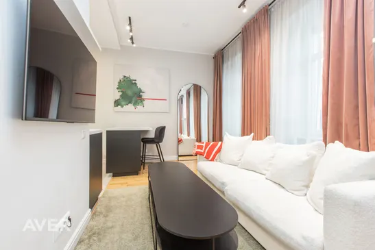 Loft dzīvoklis renovētā mājā