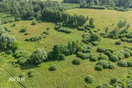 Bauskas nov., Vecumnieku pagasts