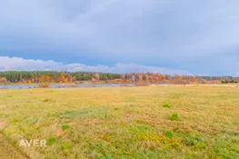 Ķekavas nov., Ķekavas pagasts
