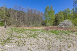 Rīga, Trīsciems, Senlejas iela 37