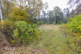 Ropažu nov., Garkalne, Saules 2, 2A
