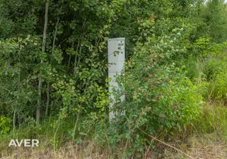 Object image 2