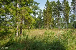 Dienvidkurzemes nov., Grobiņas pagasts, Skuju 3