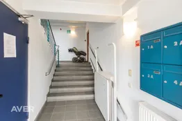 Lielisks dzīvoklis ar skatu uz mežu