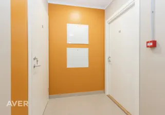 Object image 1