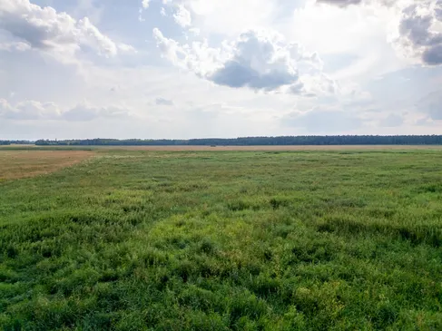 Valmieras nov., Burtnieku pagasts, Irbītes