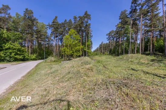 Mārupes nov., Salas pagasts, Sikspārņi, Spuņciems