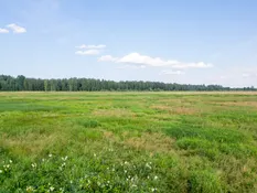Valmieras nov., Burtnieku pagasts, Irbītes
