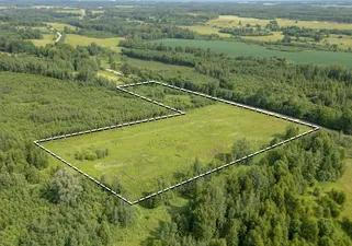 Object image 4