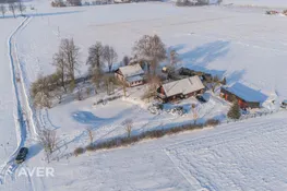 Miera osta - Nielseni