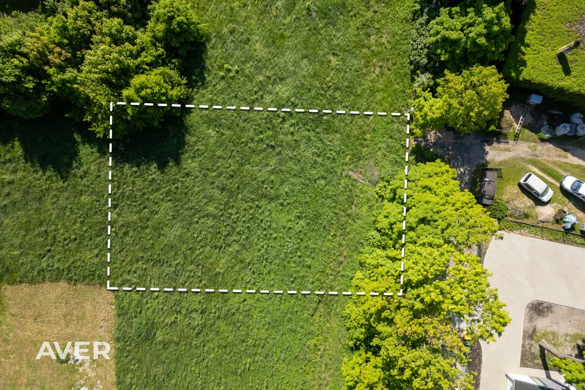 Ocject image