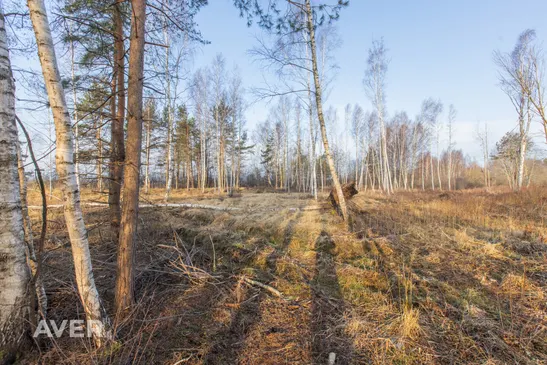 Tukuma nov., Lapmežciema pagasts, Mīļkalniņi