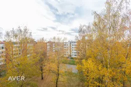 Puķu iela3-24, Jelgava