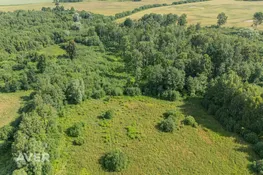 Bauskas nov., Vecumnieku pagasts