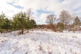 Talsu nov., Mērsrags, Alfas