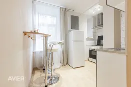 Mājīgs studio tipa dzīvoklis centrā