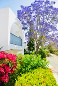 Dzīvoklis Kato Paphos