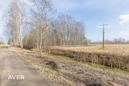 Salaspils nov., Salaspils, Bitenieki