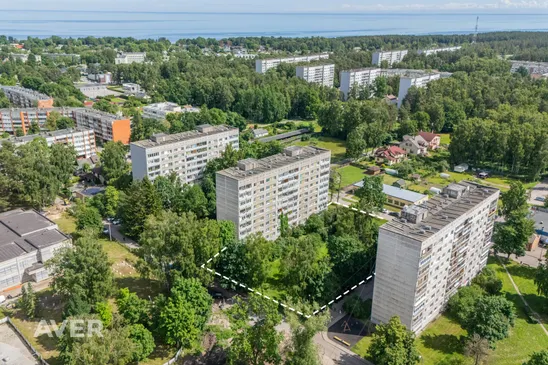 Jūrmala, Kauguri