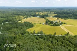 Lauku viensēta